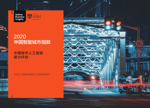 2020中国智能城市指数：中国城市人工智能能力评估-悉尼商业洞察-2020.7-44页
