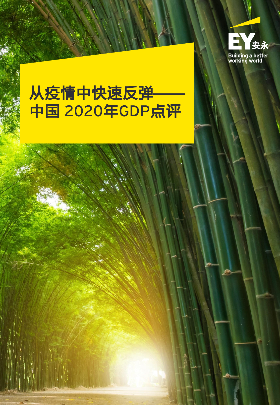 安永-从数据点评2021中国经济复苏之路-2021.02-26页