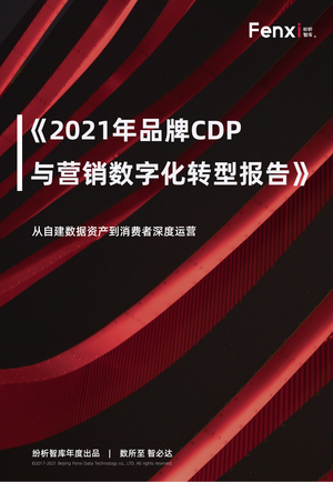  《2021年品牌CDP与营销数字化转型报告》（完整版）