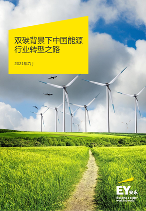  双碳背景下中国能源行业转型之路-安永-2021.7-55页
