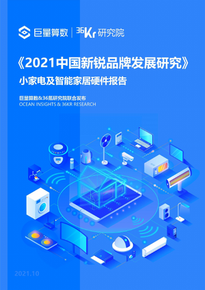 2021中国新锐品牌发展研究：小家电及智能家居硬件报告-52页