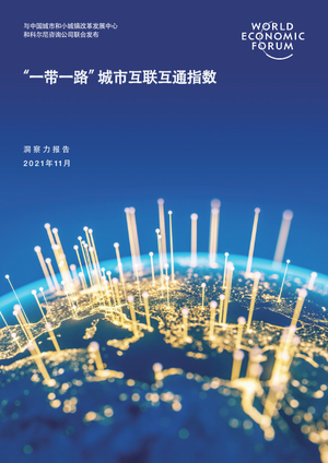2021年“一带一路”城市互联互通指数洞察力报告-世界经济论坛-2021.11-28页