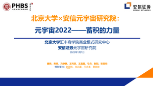 北京大学&安信证券：2022年元宇宙全球年度报告