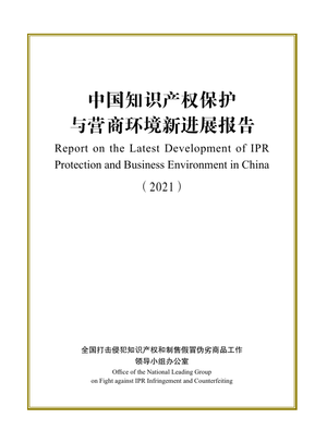 中国知识产权保护与营商环境新进展报告（2021）(中英)-2022-63页