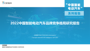《2022中国智能电动汽车品牌竞争格局研究报告》-35页