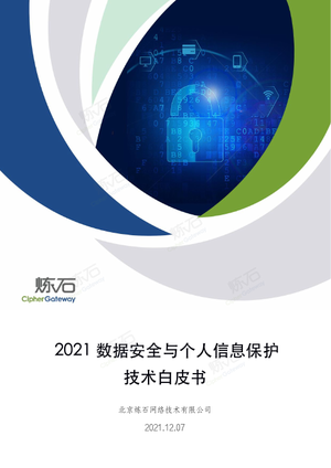 2021数据安全与个人信息保护技术白皮书-炼石-2021.12.07-276页