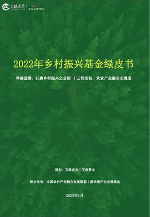 2022年乡村振兴基金绿皮书